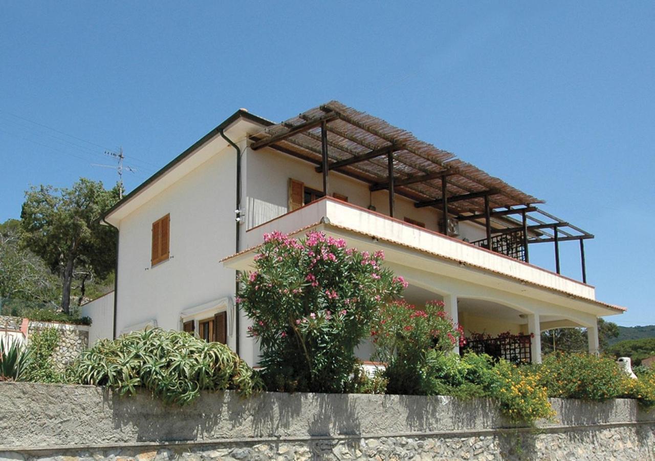 Rosmarino Marina di Campo